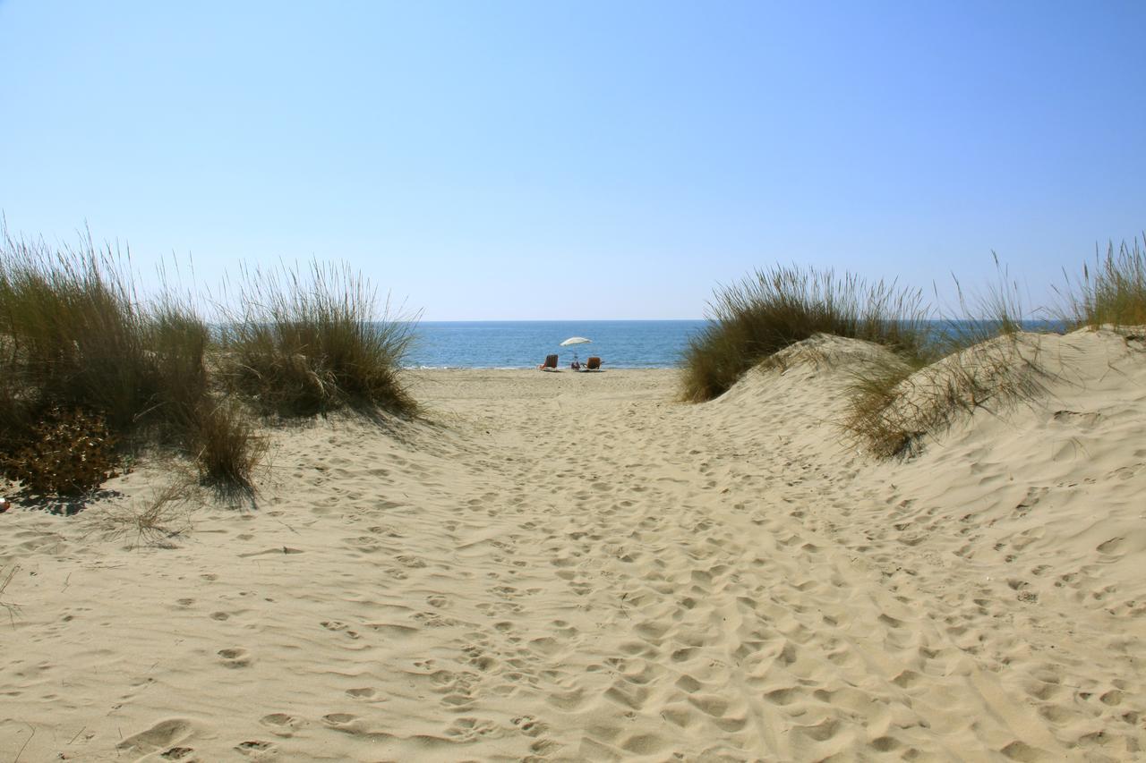 Camping Playa Taray Islantilla Eksteriør bilde