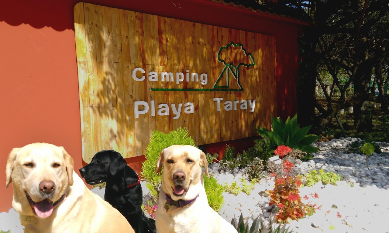 Camping Playa Taray Islantilla Eksteriør bilde